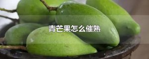 ​青芒果怎么催熟