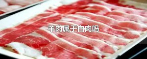 ​羊肉属于白肉吗