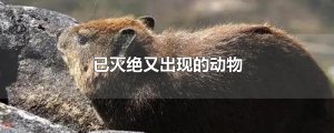 ​已灭绝又出现的动物