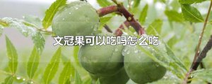​文冠果可以吃吗怎么吃