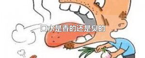 ​口水是香的还是臭的