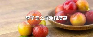 ​李子怎么催熟甜度高