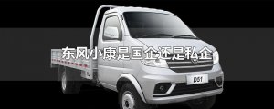 ​东风小康是国企还是私企