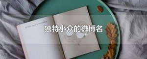 ​独特小众的微博名
