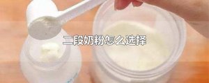 ​二段奶粉怎么选择