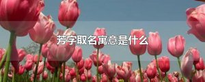​芳字取名寓意是什么