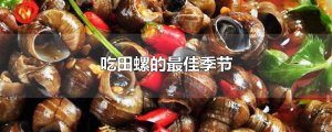 ​四五月份的田螺能吃吗