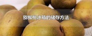 ​猕猴桃冰箱的储存方法