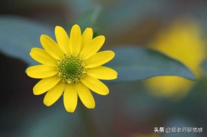 ​老公要离婚如何挽救（老公坚决要离婚如何挽救婚姻）