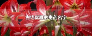 ​古代优雅的毒药名字
