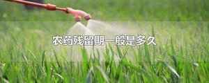 ​农药残留期一般是多久