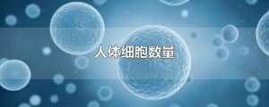 ​人体细胞数量