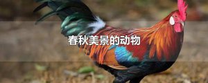 ​春秋美景的动物