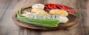 ​葱姜蒜是荤菜吗
