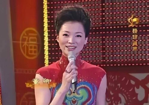 十大著名春晚主持人(10位央视春晚美女主持)插图28