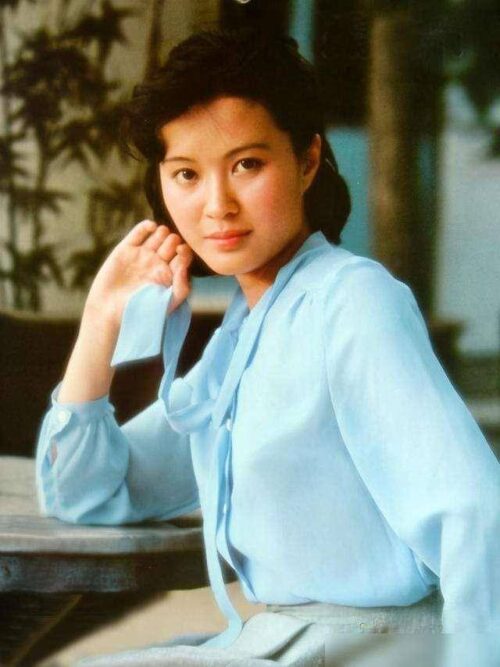 十大著名春晚主持人(10位央视春晚美女主持)插图5
