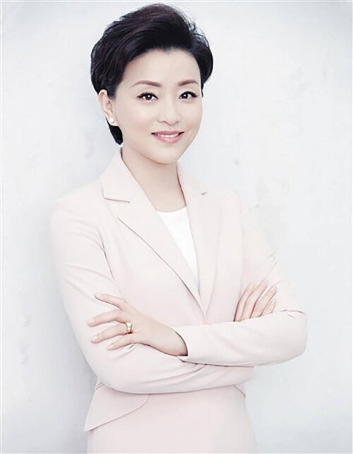 十大著名春晚主持人(10位央视春晚美女主持)插图17