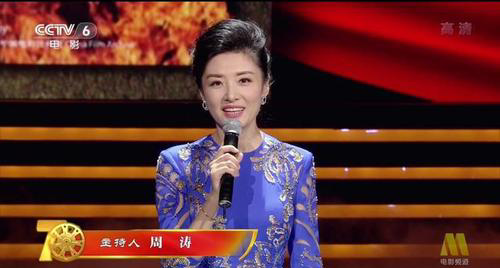 十大著名春晚主持人(10位央视春晚美女主持)插图26