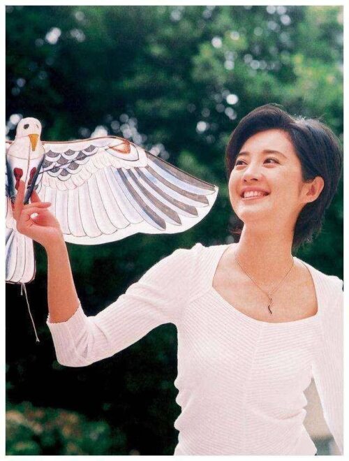 十大著名春晚主持人(10位央视春晚美女主持)插图19