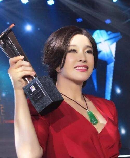 十大著名春晚主持人(10位央视春晚美女主持)插图3