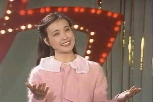 十大著名春晚主持人(10位央视春晚美女主持)插图1