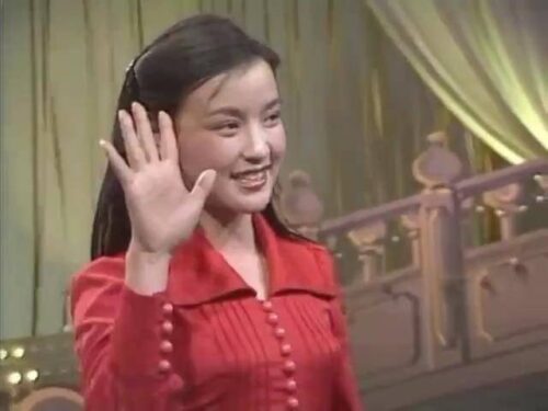 十大著名春晚主持人(10位央视春晚美女主持)插图