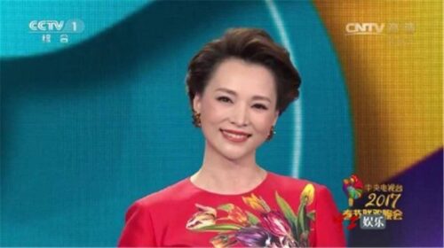 十大著名春晚主持人(10位央视春晚美女主持)插图29