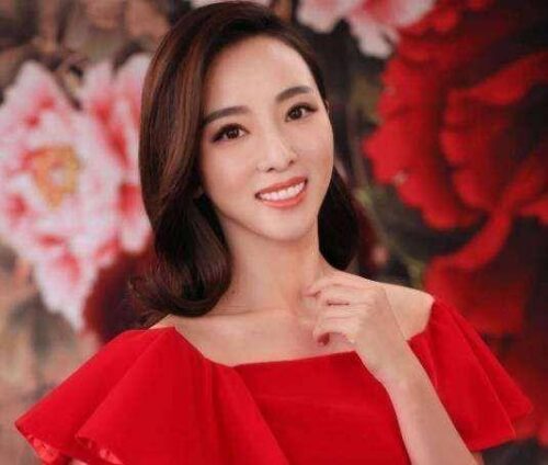 十大著名春晚主持人(10位央视春晚美女主持)插图34