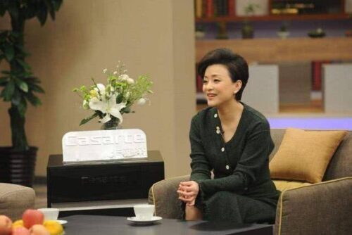 十大著名春晚主持人(10位央视春晚美女主持)插图16