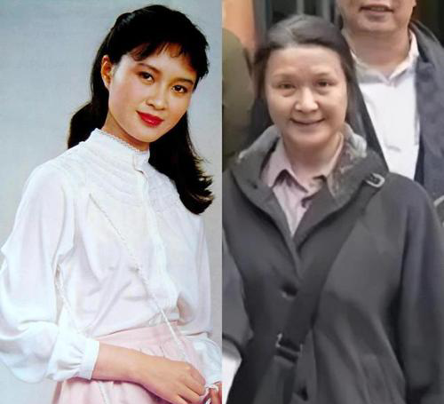 十大著名春晚主持人(10位央视春晚美女主持)插图8