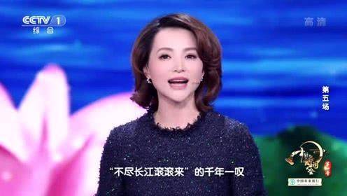 十大著名春晚主持人(10位央视春晚美女主持)插图30