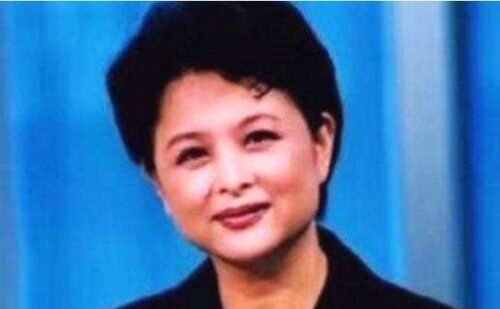 十大著名新闻联播主持人(央视十大新闻主播有哪些)插图1