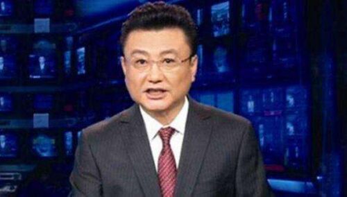 十大著名新闻联播主持人(央视十大新闻主播有哪些)插图5