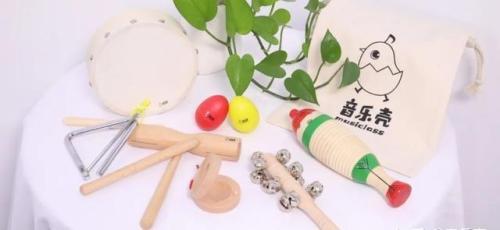 十大最好学的乐器(最容易学的乐器排行榜)插图