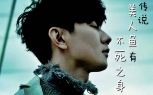 ​传说中你为爱甘心被搁浅歌词是什么意思（美人鱼歌曲林俊杰）