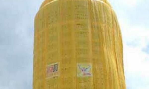 世界上最大的安全套(足足有20层楼那么高全长可达67.8米)(1)_