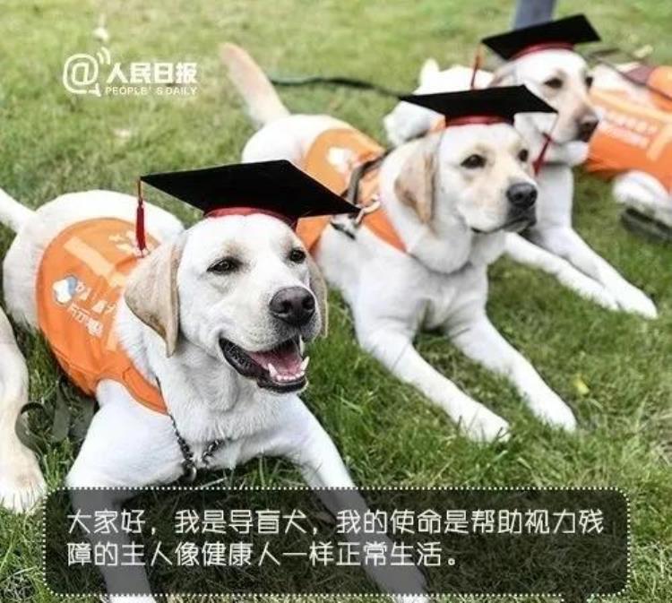 地铁有哪些违禁物品,上海地铁违禁品有哪些