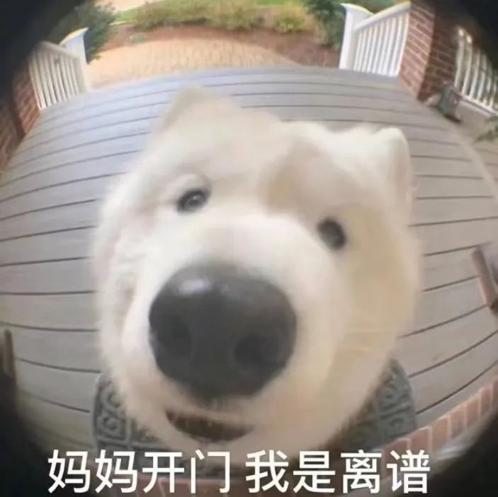 韩国世越号沉船8周年，真相依旧成谜，诡异事情却继续接连出现
