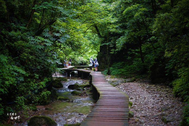 成都景点排行榜（成都游玩必去的10个景点）