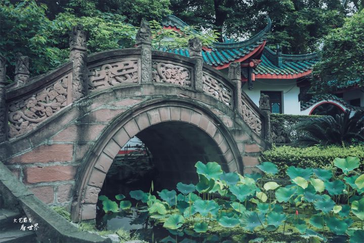 成都景点排行榜（成都游玩必去的10个景点）