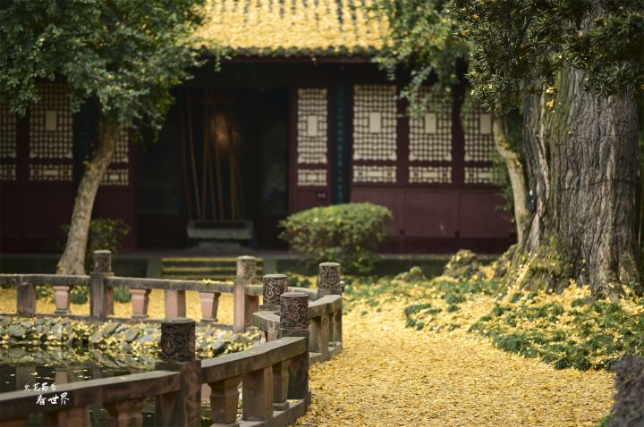 成都景点排行榜（成都游玩必去的10个景点）