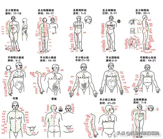 足底按摩图(足底按摩图反射区图片的功效)-图3