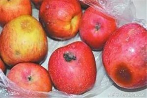 ​烂掉的苹果怎样做肥料（做成花肥的方法步骤）