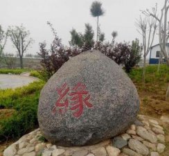 ​我想问一问孟婆缘是什么?(歌词是孟婆跟前我想问问孟婆)