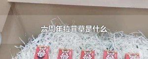 ​六周年拉菲草是什么