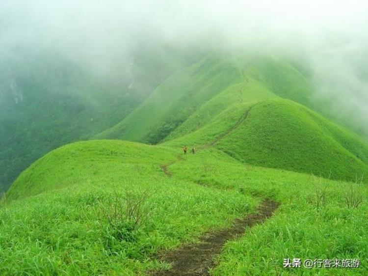 云南马楠云上草原旅游公司「云南旅游新猎奇马楠云上草原自驾游营地摄影自驾爱好者的天堂」