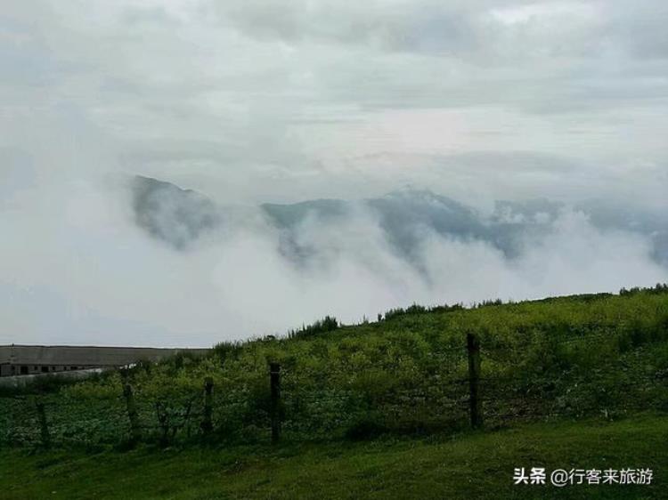 云南马楠云上草原旅游公司「云南旅游新猎奇马楠云上草原自驾游营地摄影自驾爱好者的天堂」