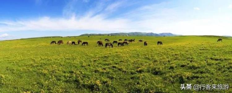 云南马楠云上草原旅游公司「云南旅游新猎奇马楠云上草原自驾游营地摄影自驾爱好者的天堂」