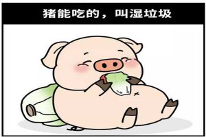 ​猪能吃的垃圾分类 如何用猪区分垃圾（能吃的是湿垃圾）