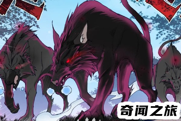斗罗大陆最强魂骨深海魔鲸王躯干骨年份最久(狼猿魂骨附带瞬移)(3)_